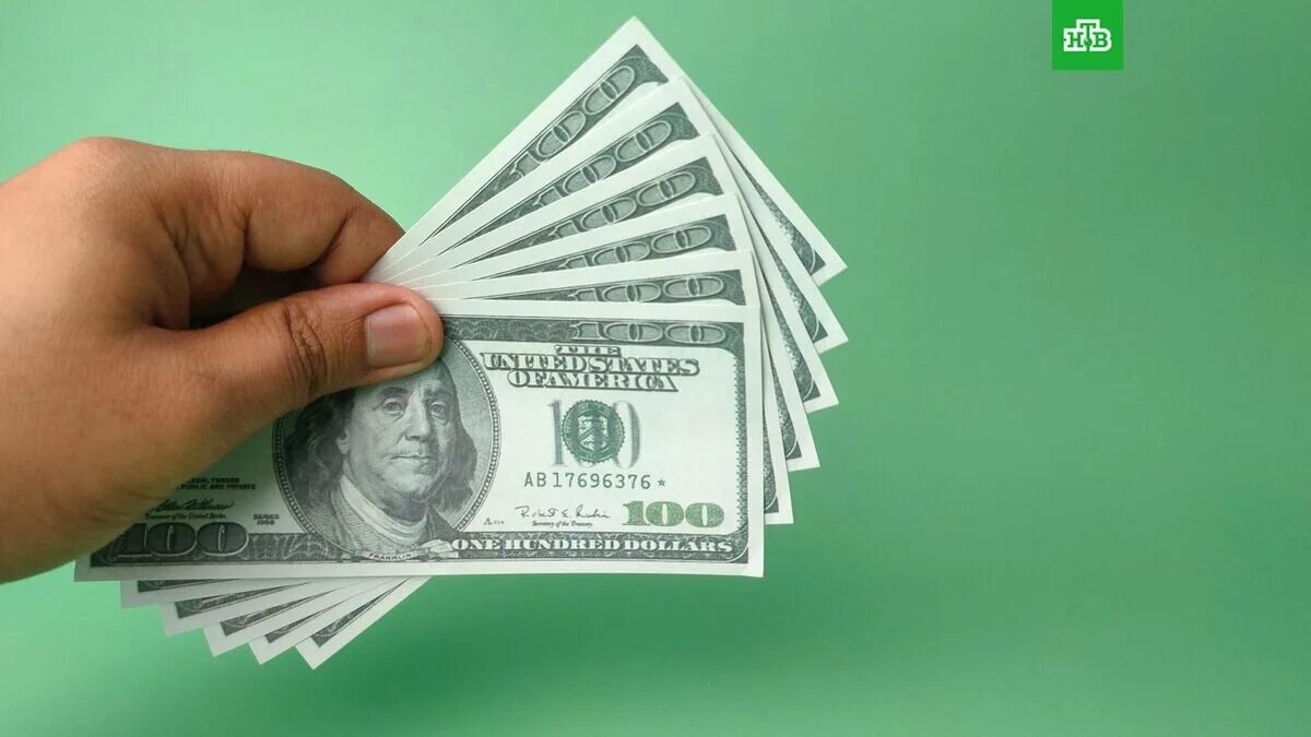 Money fun. Рука готовищаяся взять деньги. Кучча долларов. Деньги за советы. Доллар и евро.