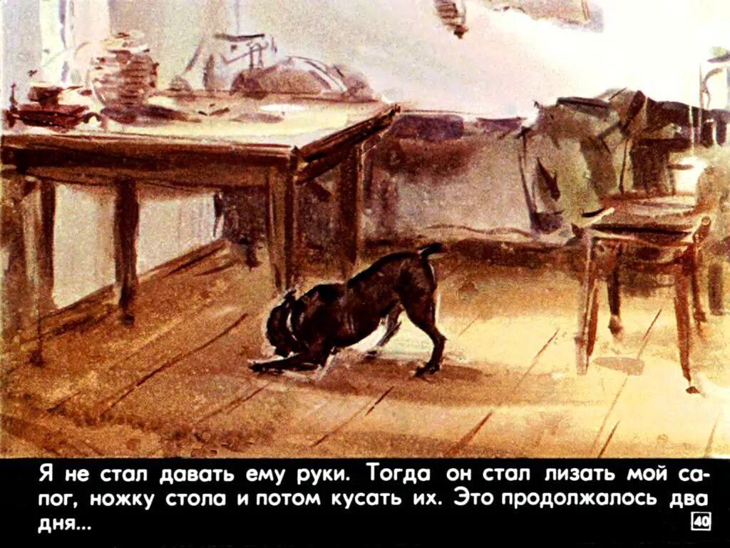 Булька жанр. Собака булька толстого. рассказы льва николаевича толстого пожарная собака булька. л н толстой булька иллюстрации. сказка булька.