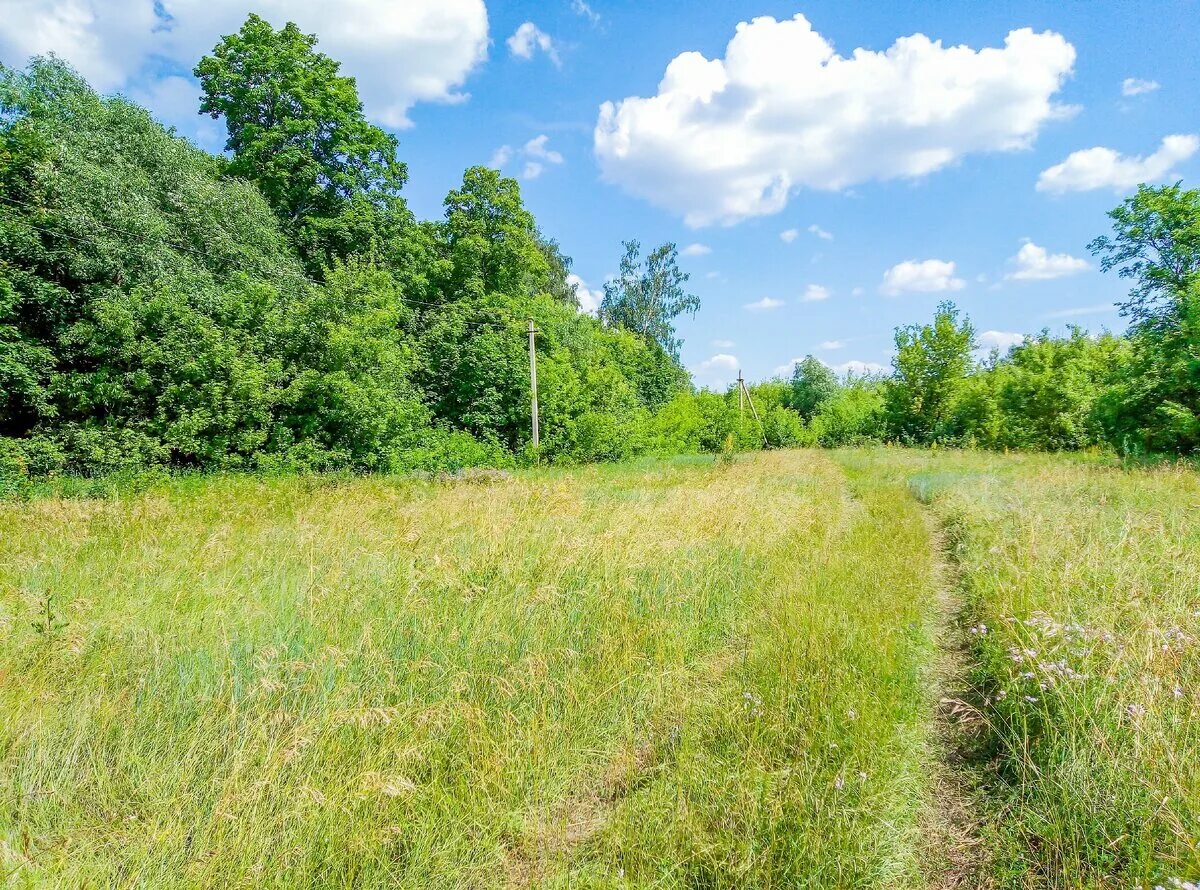 Заречье база отдыха. Турбаза заречье липецкая область. Урочище. Заречье база отдыха бердск. Заречье база отдыха бердск.