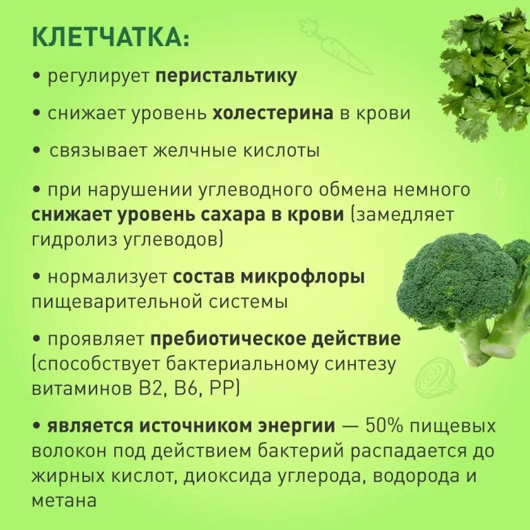 Какую функцию в организме выполняет клетчатка. Польза пищевых волокон. клетчатка польза. полезность клетчатки. клетчатка и пищевые волокна в чем разница.