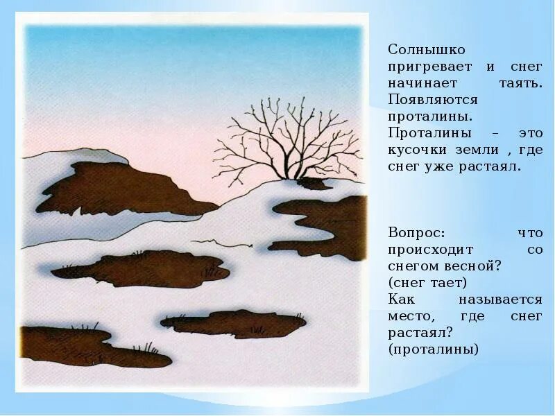 Пригрело весеннее солнышко