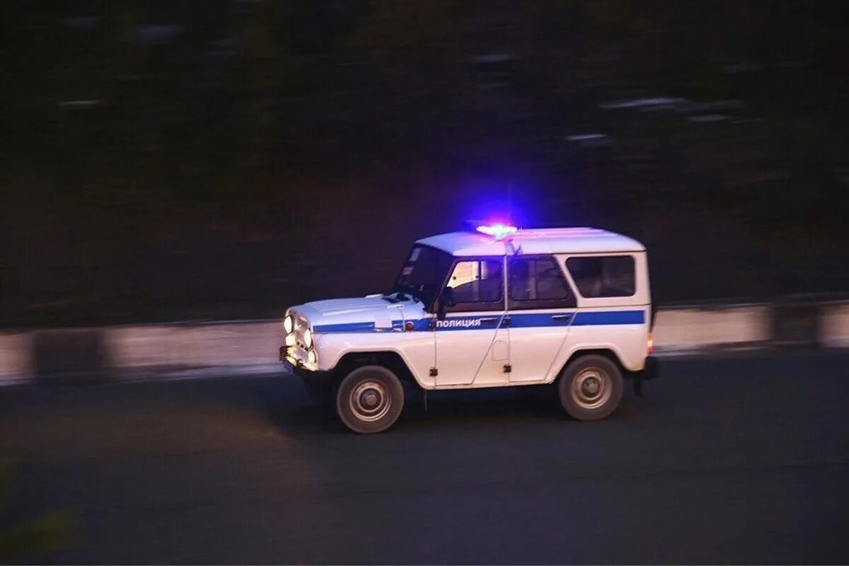 Полиция едет на вызов. Уаз 31514 полиция. бобик машина полиции. уаз буханка ппс. уаз бобик полиция.