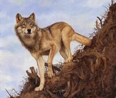 Wolf английский