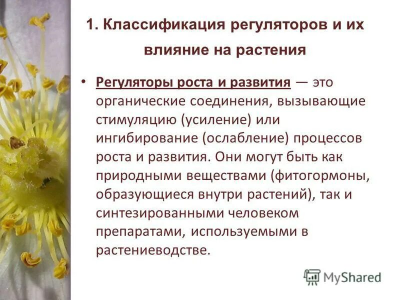 Действие фитогормонов на растение. Регуляторы роста растений классификация. Классификация регуляторов роста. Регуляторы роста и развития растений. Классификация регуляторов и их влияние на растения.