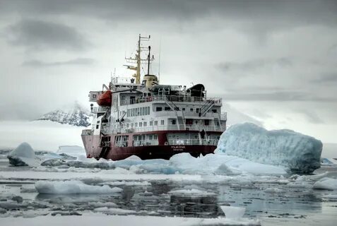 Polar star