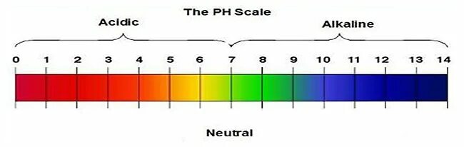 Hot scale. Ph это в биологии шкала. шкала для измерения размера частиц. 10 ph scale. ph8a размер.