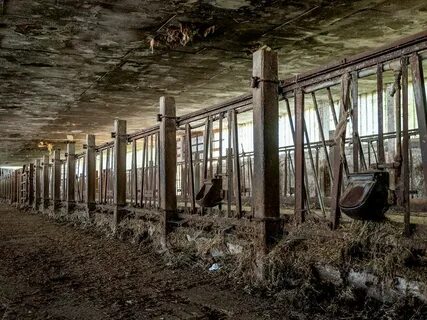 Колхоз завод