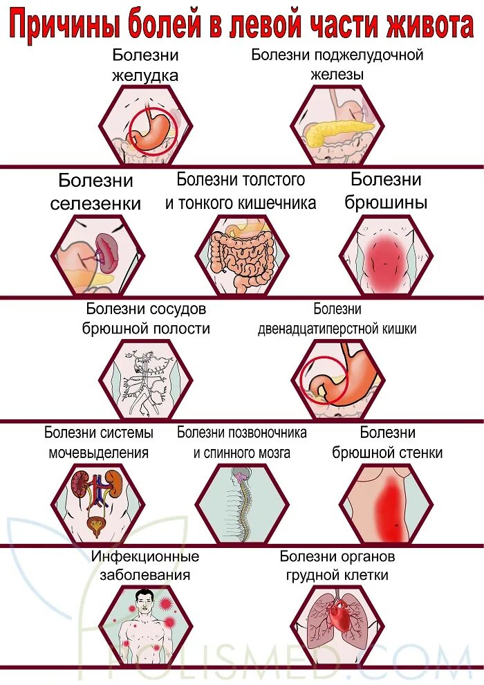 Почему может болеть яичко. Боль в левой части живота. Резь в левой стороне живота. Боли в разных частях живота причины.