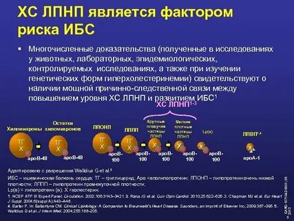 Лпнп прямой метод