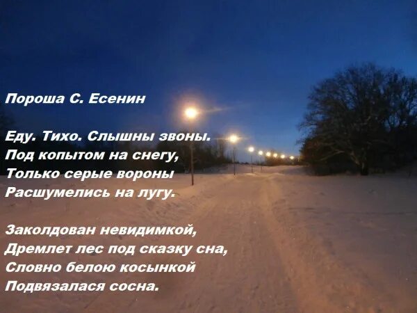 Есенин зима. Сергея александровича есенина пороша. Есенин пороша еду тихо слышны звоны. Стих есенина еду. Тихо.