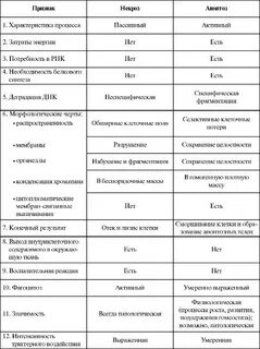 Виды некроза таблица