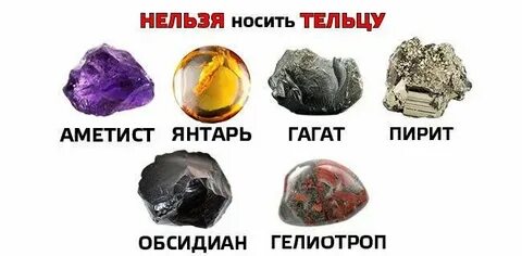 Подходит ли тельцам