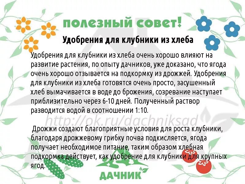 Огород дача советы. Сад и огород полезные советы. советы дачникам. полезные советы для дачи и огорода. полезные советы для огорода.