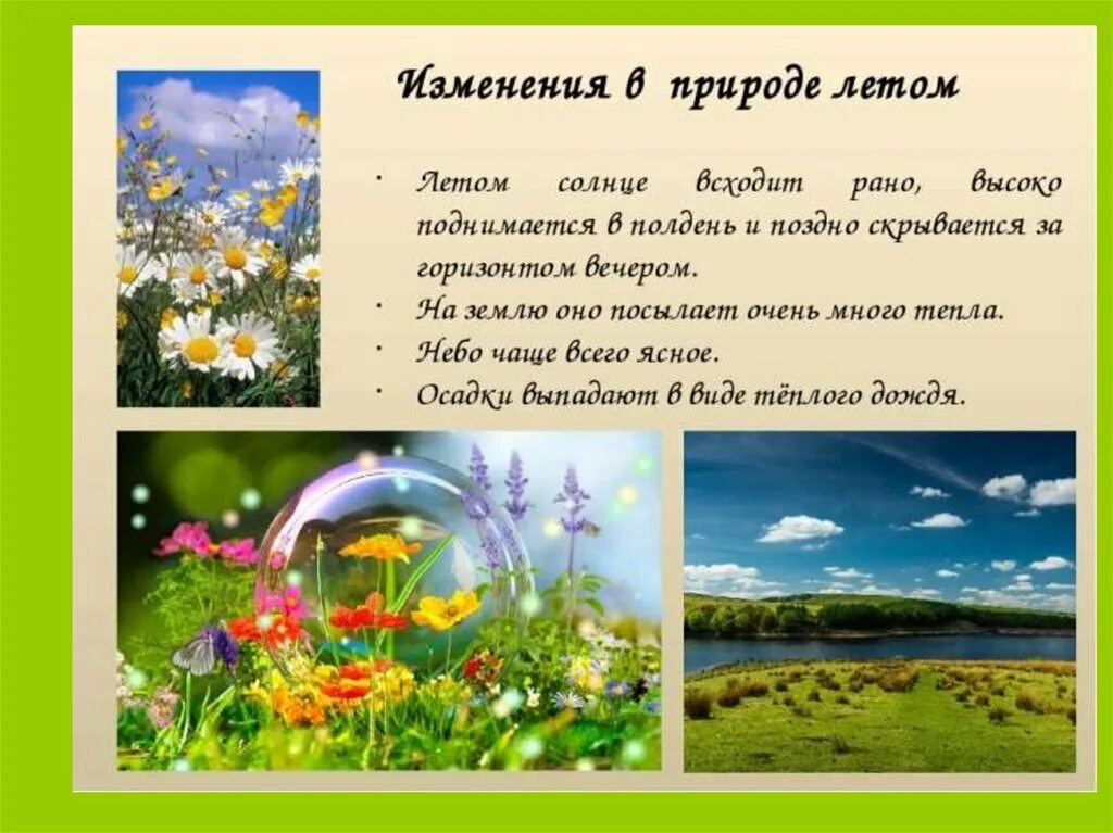 Изменения в неживой природе время года лето. Летние изменения в природе. Лето описание. Летниезменения в природе. Презентация о лете.