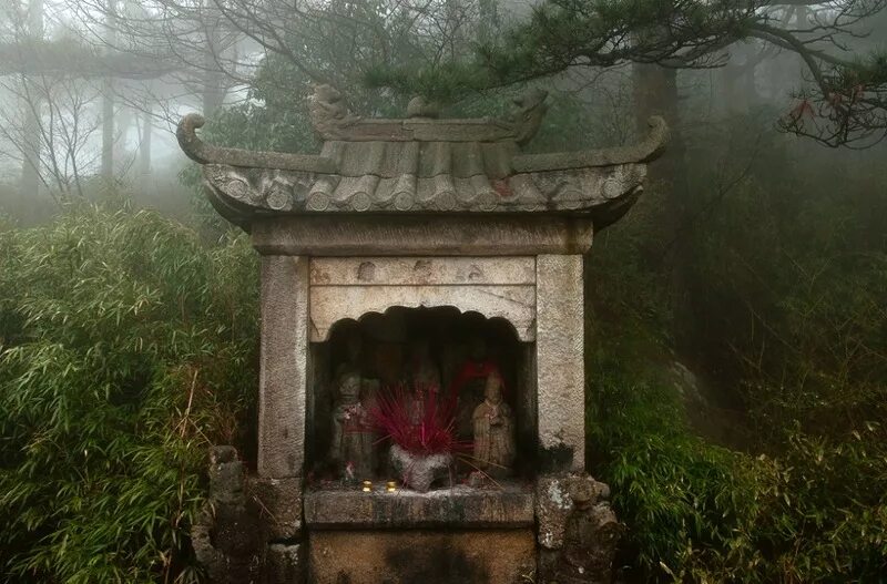 ворота в синтоистский храм япония арт. святилище духов. даосский алтарь. японские алтари в лесу. Fiona hsieh art.