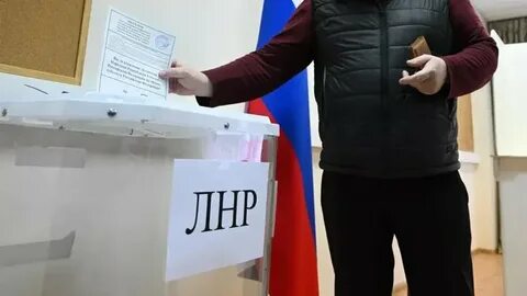 Выборы 23 года