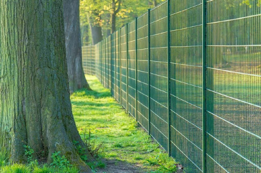 Сварная 3d сетка gitter. Забор из сетки рабица. Сетка для ограждения забора. 6049 ограждение н=l700мм забор металлический. Сетчатое ограждение фенсис.