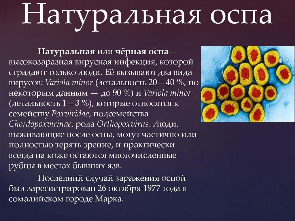 Сообщение о вирусном заболевании 5 класс