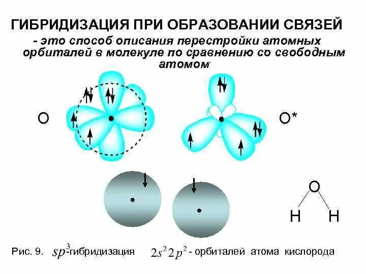 Гибридизация атомов в молекуле бутадиена. Sp3 гибридизация в молекуле воды. гибридизация орбиталей молекулы кислорода. sp гибридизация кислорода. орбитали азота схема.