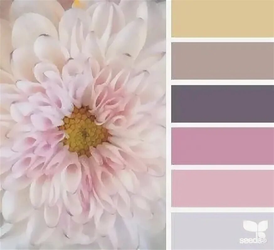Сочетания бледно розового с другими цветами Color Palette #1083 Color Palette Ideas Color palette, Pastel colour palette, Co