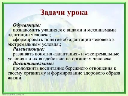 Экологические адаптации