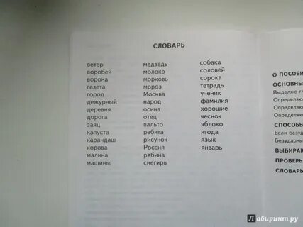 Январский язык