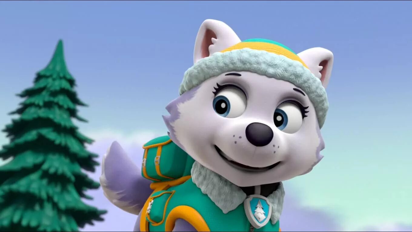 Pup save. Щенячий патруль Эверест. Paw Patrol Chase and Everest. Эверест Щенячий патруль порода. Paw Patrol Everest Gallery.
