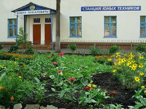 20 школа октябрьский башкортостан. Аптека на лермонтова. Тверь ул лермонтова 9а. Октябрьский башкортостан. Лермонтова октябрьский башкортостан.