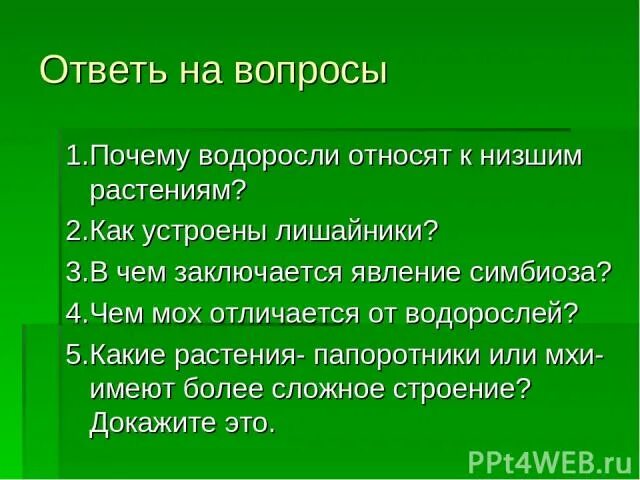 В чем заключается явление симбиоза. Почему водоросли относятся к растениям. К низшим растениям (водорослям) относят. В чем заключается явление.