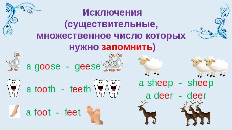 Общество множественное число. Множественное число в английском языке для детей исключения. Множественное число имен сущ в английском. Множественное число существительных в английском языке для малышей. Множественное число в английском языке исключения 4 класс.