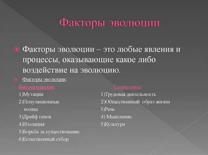 Развитие как феномен
