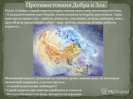 Какого волка ты кормишь