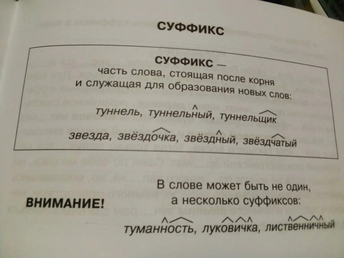 Разбор слова зацветает. Слова по составу 4 класс. Слова для разбора слова по составу 4 класс. Русский язык разбор слова по составу. Разбор слова по составу слова.