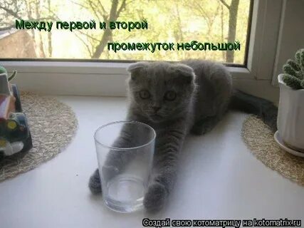 Между первым и вторым промежуток небольшой