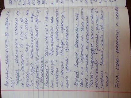 Отношение к дворянству аристократии базарова и кирсанова