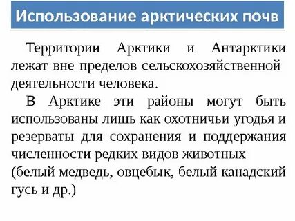 По данным исследователей в арктических почвах