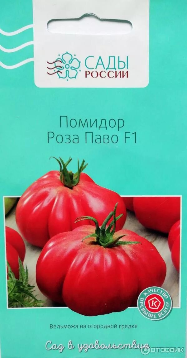 Томат бийский розан. Помидоры индиго роуз. Томат розе отзывы. Томат розе отзывы. Томат розе отзывы.