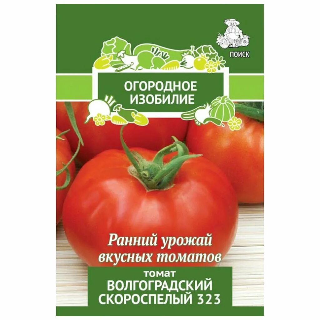Томат волгоградский скороспелый 323. Томат волгоградский скороспелый. Томат волгоградский скороспелый. Томат волгоградский 323. Томаты волгоградский скороспелый описание.