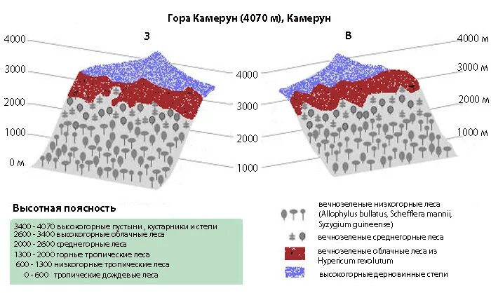 высотная поясность кавказа 8 класс география. высотная поясность африки. вертикальная зональность. высотная поясность таблица. высотная поясность африки.