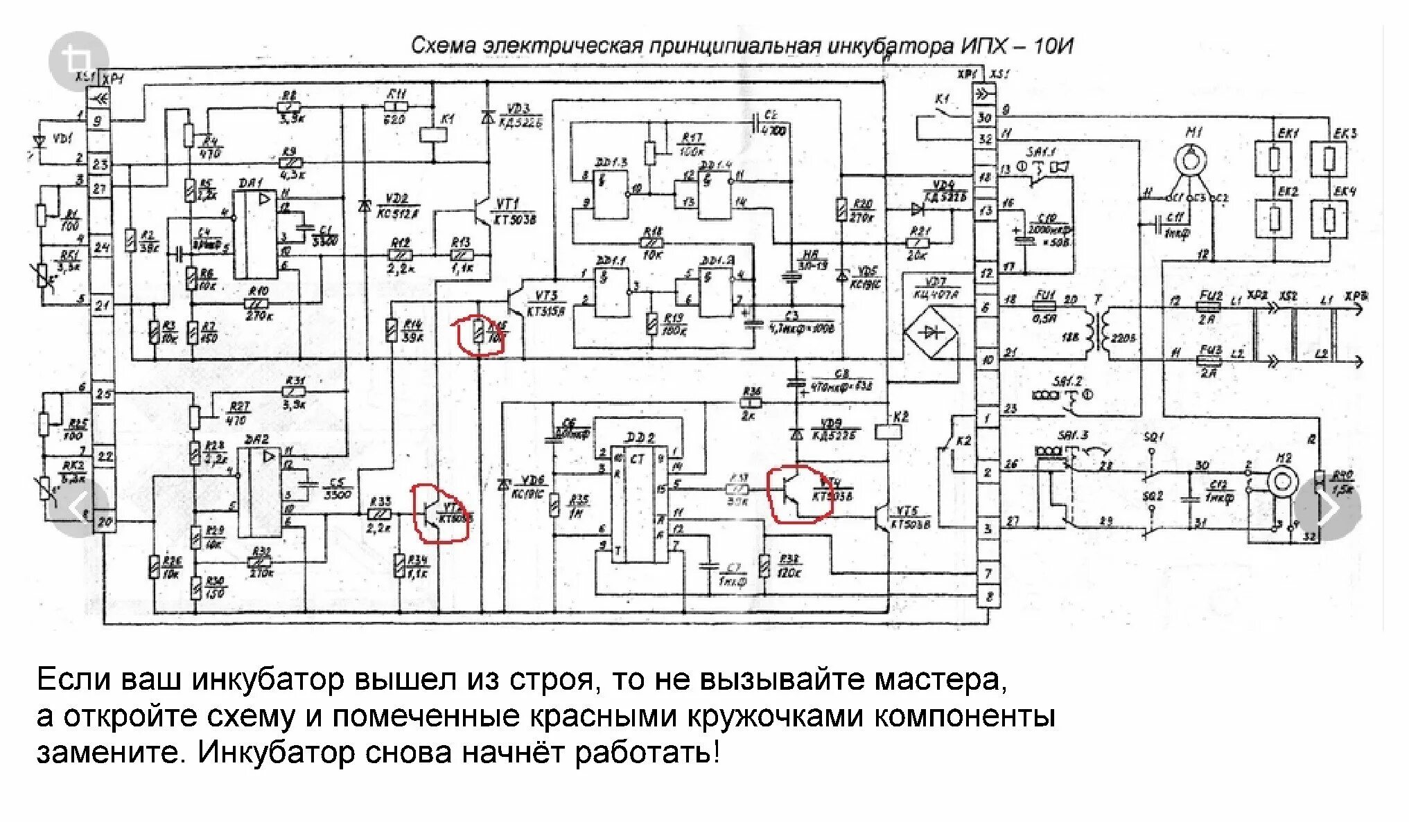 Электрическая схема инкубатора петушок ИПХ-10. ИПХ-10 инкубатор схема. Принципиальная схема инкубатора петушок ИПХ-10. Эл схема на инкубатор ипх10. Инкубатор схема электрическая