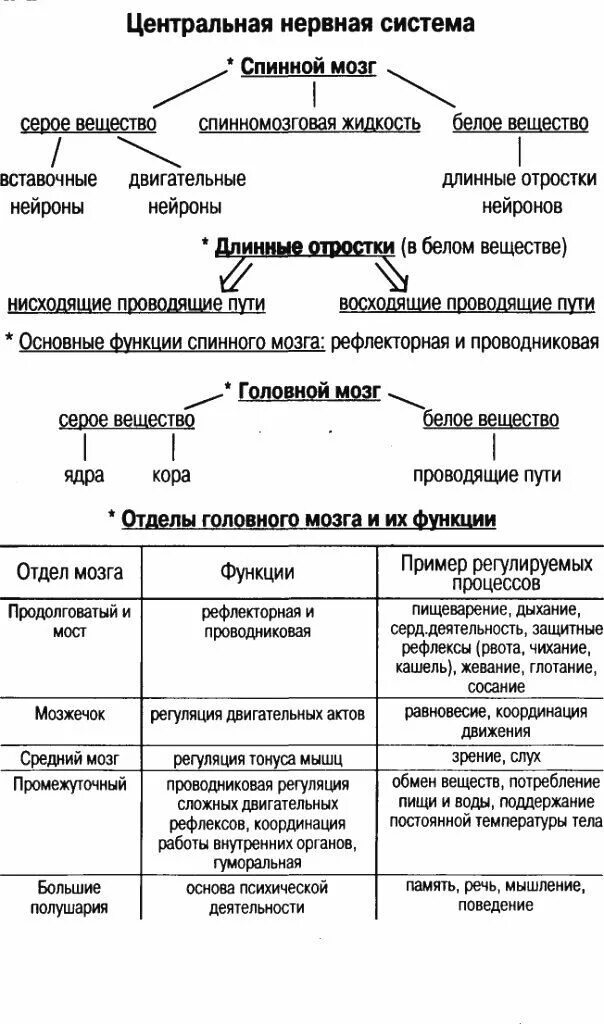 Строение и функции отделов нервной системы таблица. Отдел центральной нервной системы строение функции таблица. Таблица Центральная нервная система строение и функции. Функции структур ЦНС таблица. Нервная система строение функции отделов