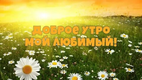 Надпись доброе утро родные