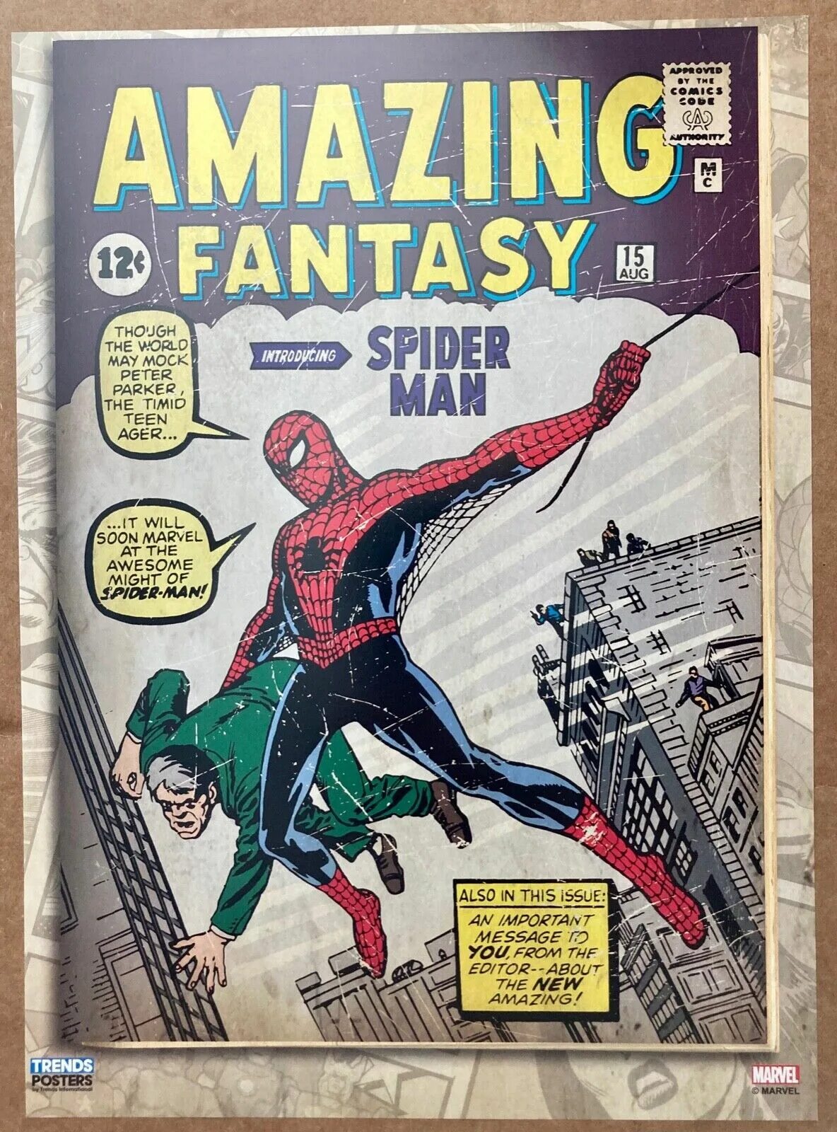 Перевод текста amazing spider. Amazing fantasy. amazing fantasy #15. удивительный человек паук омнибус. удивительное фэнтези 15.