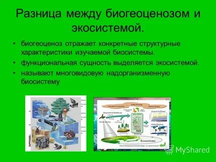 Почему биогеоценоз называют