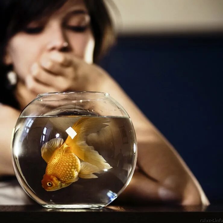 Скажи золотой. Девушка с золотой рыбкой. Золотая рыбка желания. Исполнение желаний. Фотосессия с золотой рыбкой.