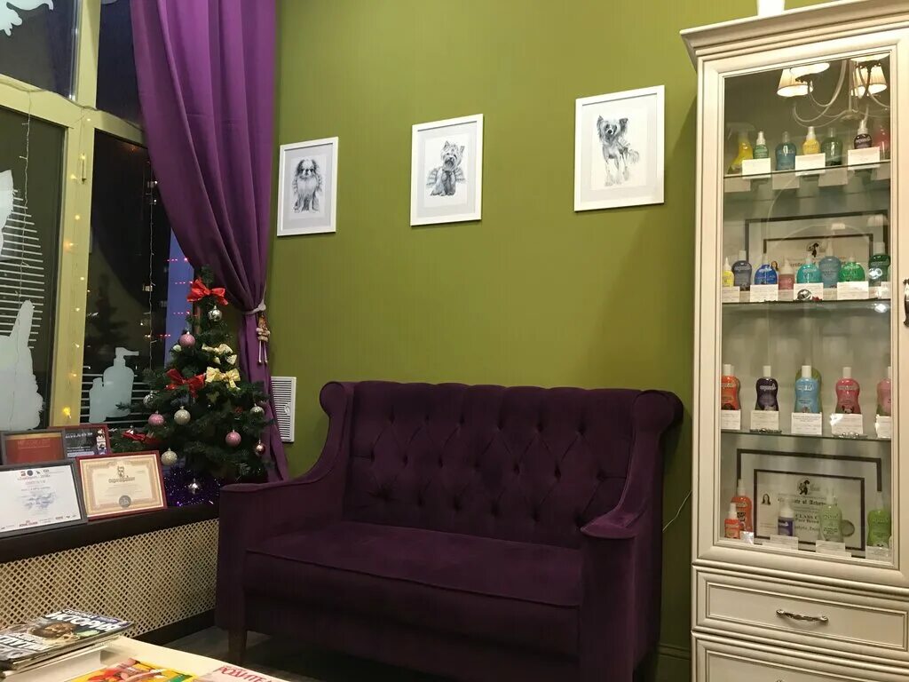 груминг салон рядом. зоосалон амур рязань. парикмахерская для собак. груминг салон рядом. школа боншери.