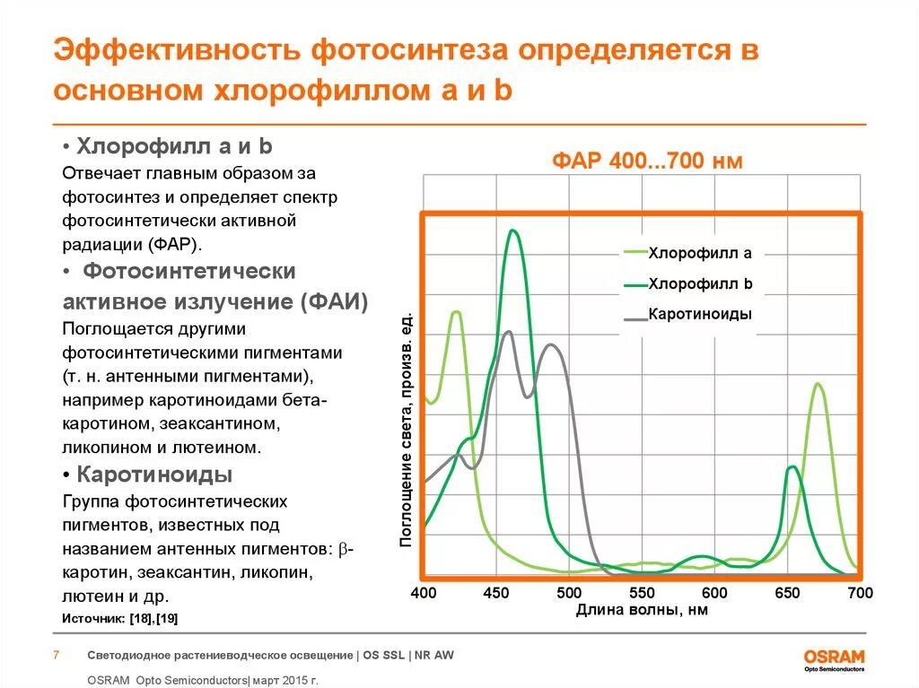 Спектры поглощения хлорофилла а и б. Фотосинтетически активного излучения. Спектры поглощения пигментов растений. Спектры поглощения пигментов фотосинтеза. Хлорофиллы поглощают свет