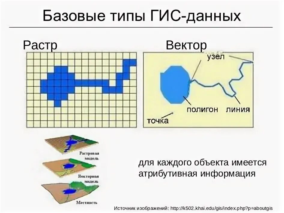 Векторные и растровые данные в ГИС. Растровые пространственные данные. Растровая и Векторная модель данных в ГИС. Растровая модель пространственных данных в ГИС. Организация информации в гис