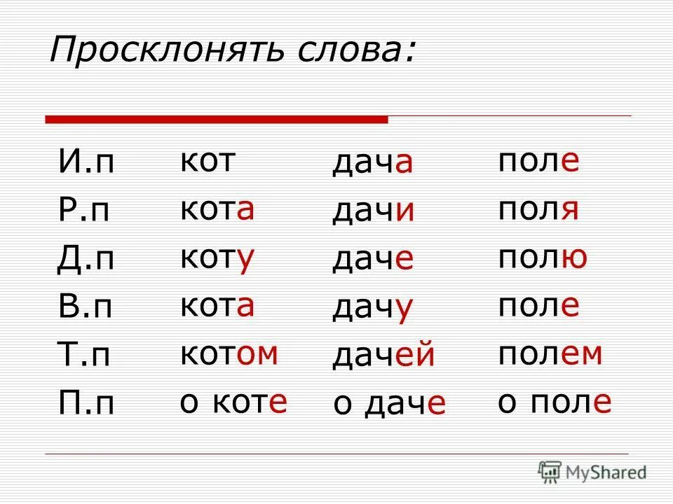 Склонение относительных местоимений. Просклонять кот. Склонение существительных в русском языке таблица по падежам. Склонение притяжательных местоимений. Относительные местоимения склонение по падежам.