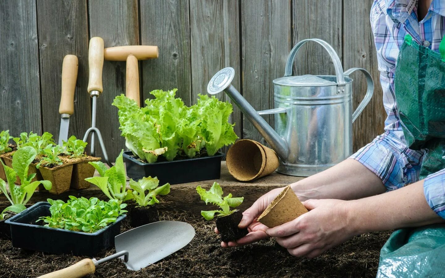 Сад и огород. Дача сад огород. Огород на даче. Товары для сада и огорода. They like gardening